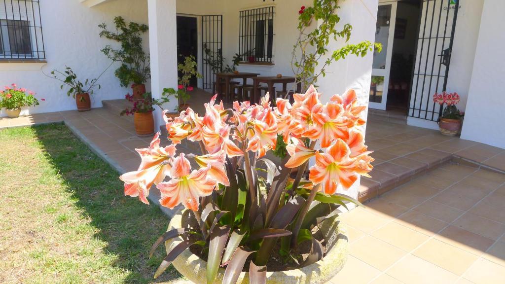 Hotel Casa Fina - Adults Recommended Conil De La Frontera Exterior foto